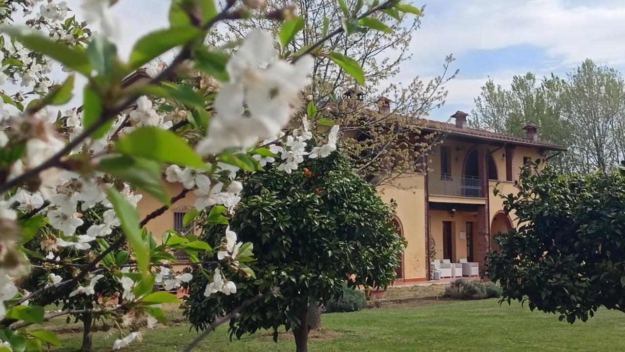 Il Chiassetto Agriturismo No Kids كاشينا المظهر الخارجي الصورة