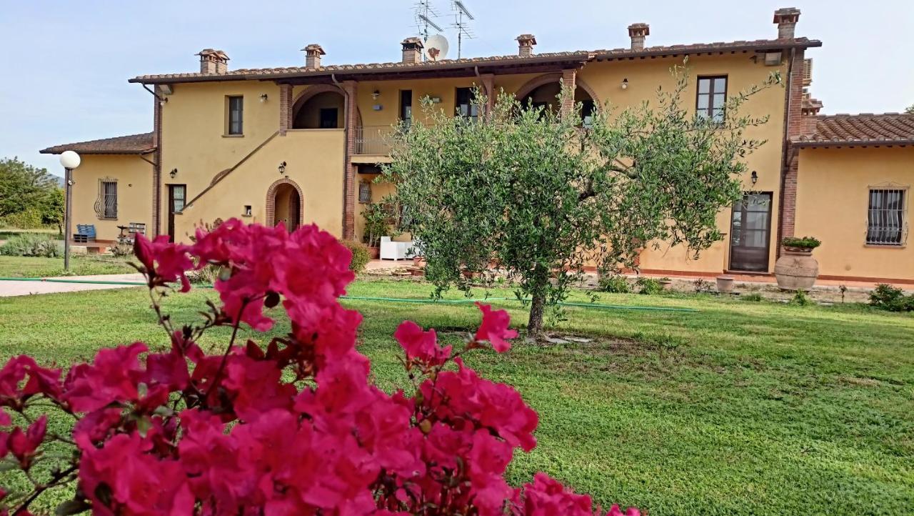 Il Chiassetto Agriturismo No Kids كاشينا المظهر الخارجي الصورة
