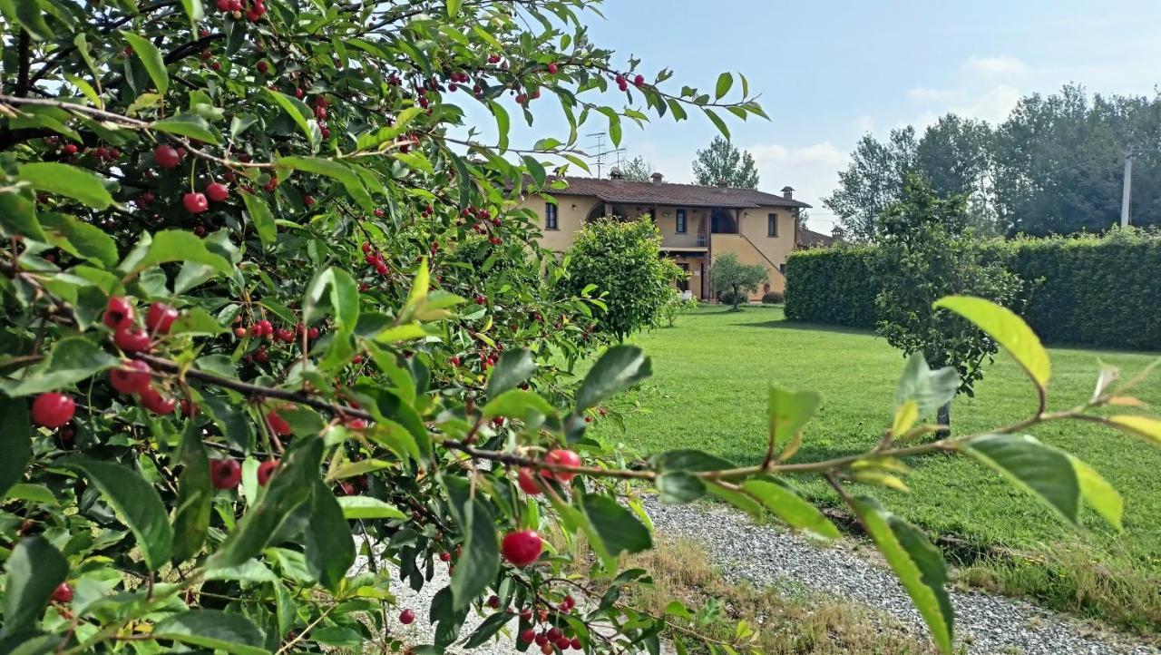 Il Chiassetto Agriturismo No Kids كاشينا المظهر الخارجي الصورة