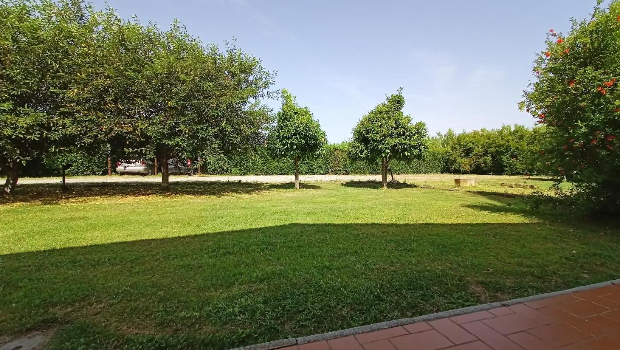 Il Chiassetto Agriturismo No Kids كاشينا المظهر الخارجي الصورة