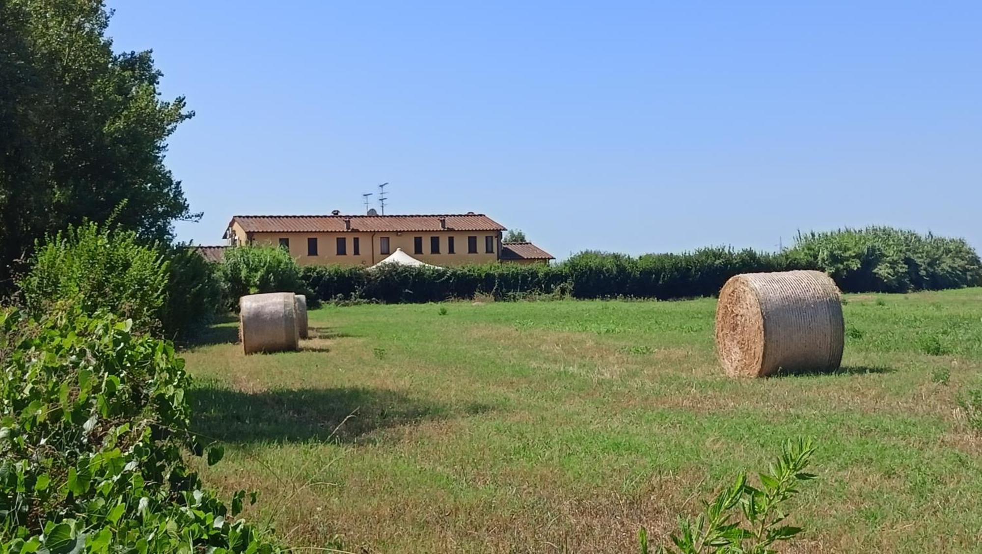 Il Chiassetto Agriturismo No Kids كاشينا المظهر الخارجي الصورة