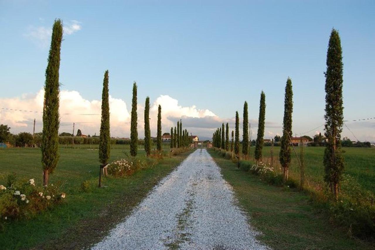 فيلا كاشينافي Il Chiassetto Agriturismo No Kids المظهر الخارجي الصورة